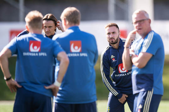 Muamer Tankovic of the Swedish national football team