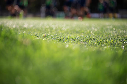Artificial grass