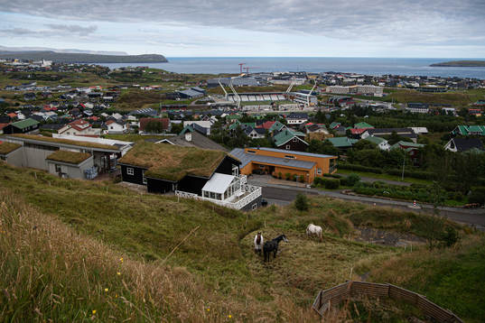 Horses at distance from Tórsvøllur Stadium where players