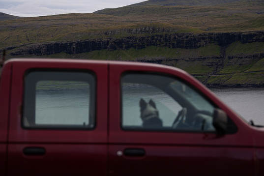 Cliffs and mountains can be seen in the foreground of a dog