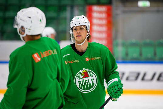 Dominik Bokk