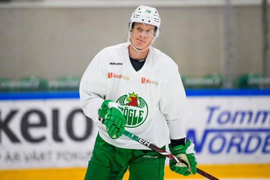 Anton Bengtsson