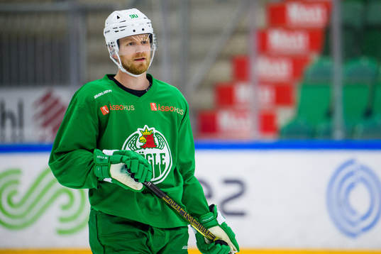 Ted Brithén