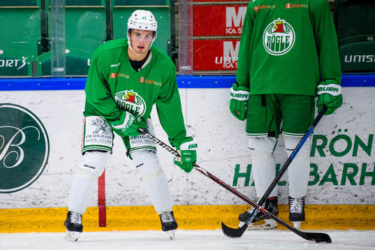 Nils Höglander