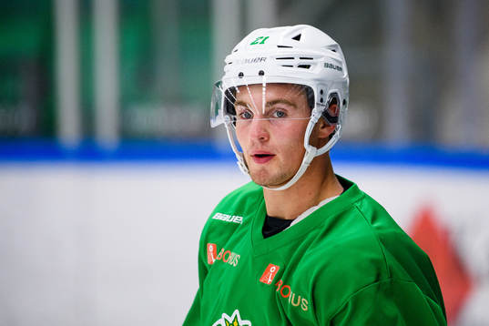 Nils Höglander