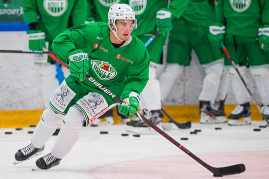 Nils Höglander