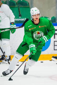 Dominik Bokk