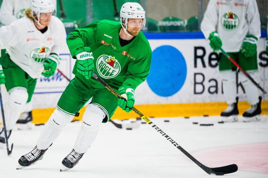 Ted Brithén