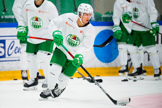 Daniel Bertov