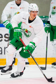 Erlend Lesund