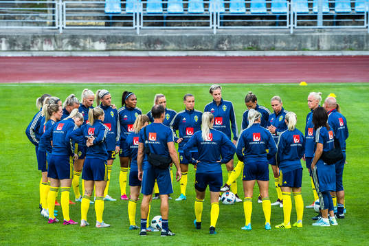 Players of Sweden