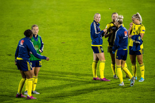 Players of Sweden