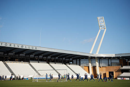 Players of the Swedish national football team warm up