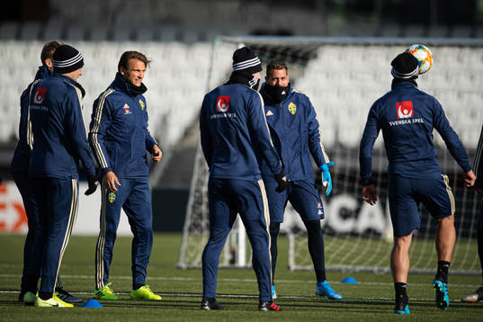 Albin Ekdal of the Swedish national football team