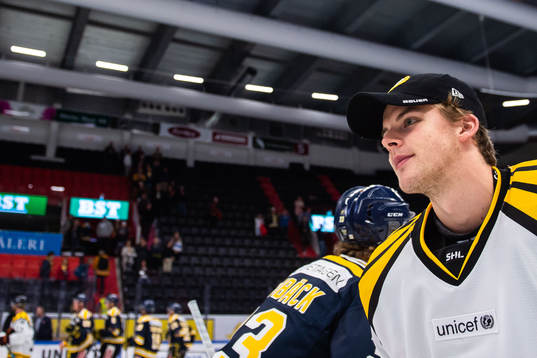 Brynäs målvakt Samuel Ersson