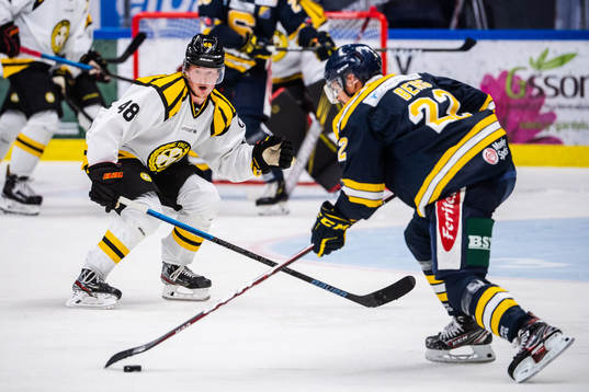 Brynäs Samuel Solem