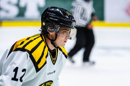 Brynäs Samuel Asklöf