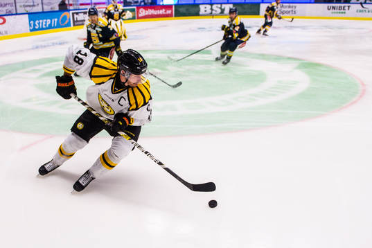 Brynäs Anton Rödin