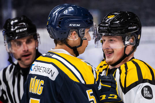 Södertäljes Calle Wäng och Brynäs Samuel Solem