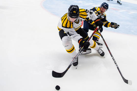 Brynäs Greg Scott och Södertäljes Bobbo Pettersson