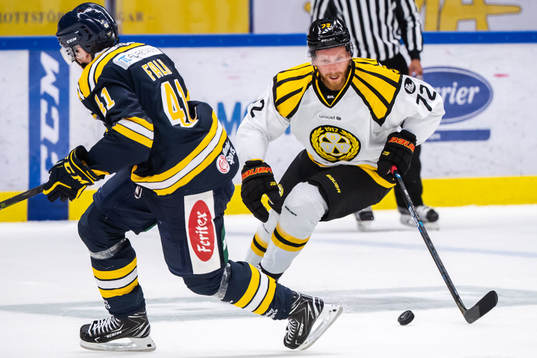 Brynäs Joachim Rodin
