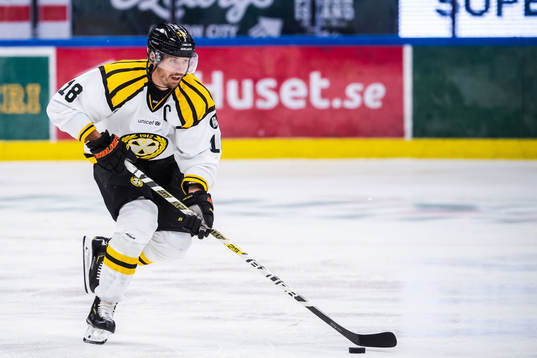 Brynäs Anton Rödin