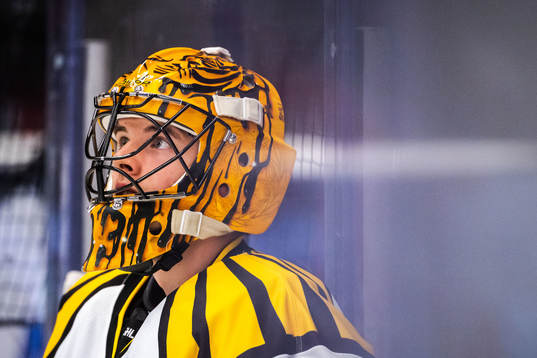 Brynäs målvakt Samuel Ersson