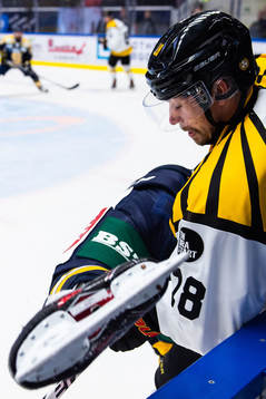 Brynäs Anton Rödin