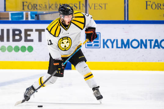 Brynäs Jonathan Sigalet