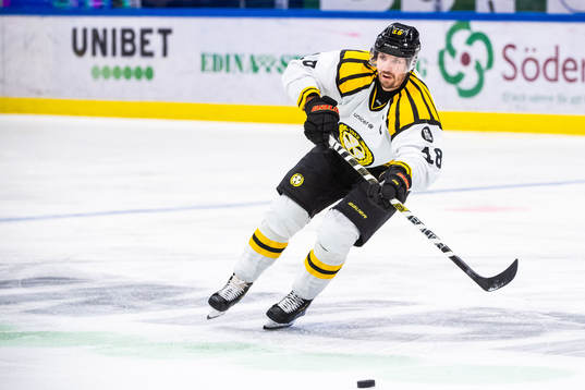 Brynäs Anton Rödin
