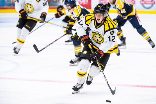 Brynäs Samuel Asklöf