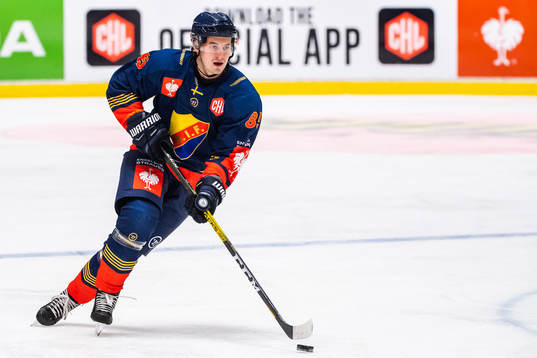 Michael Haga of Djurgården