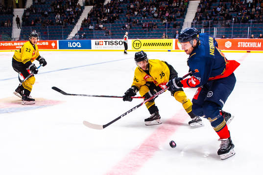 Julian Grosslercher and Mark Flood of Vienna Capitals
