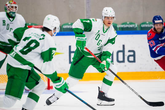 Rögles Erlend Lesund