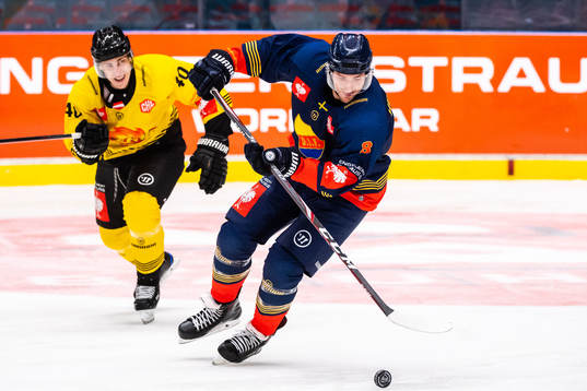 Mike Zalewski of Vienna Capitals and Brenden Kickton of