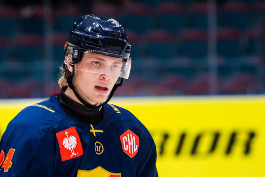 Erik Walli-Walterholm of Djurgården