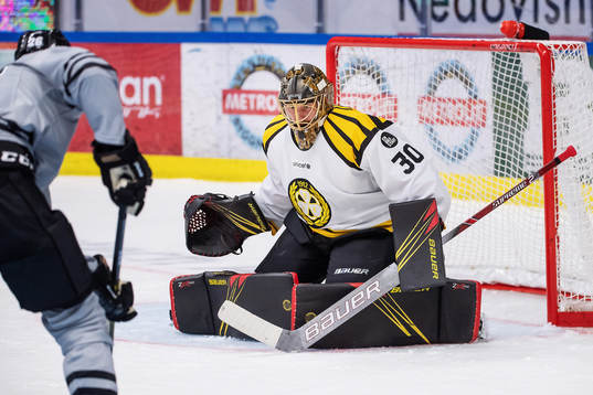 Brynäs målvakt Joacim Eriksson