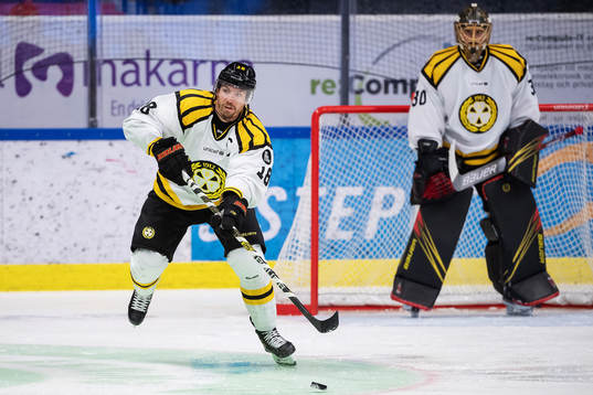 Brynäs Anton Rödin