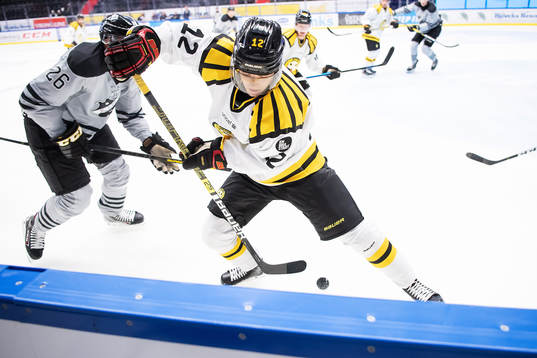 Brynäs Samuel Asklöf