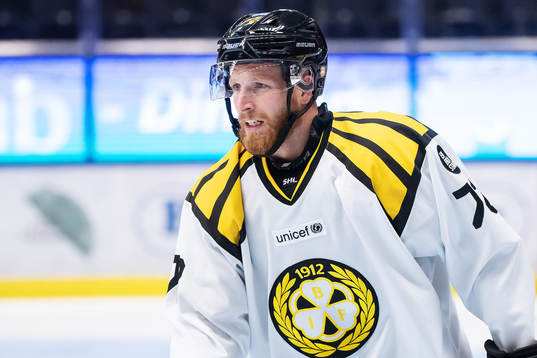 Brynäs Joachim Rodin