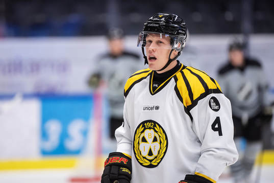 Brynäs Niclas Lundgren