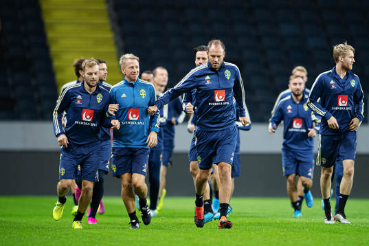 Sebastian Larsson and Andreas Granqvist of the Swedish