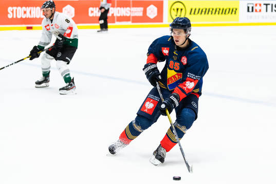 Michael Haga of Djurgården