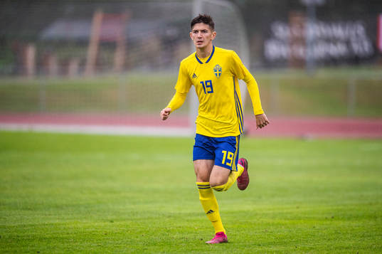Sveriges Armin Gigovic