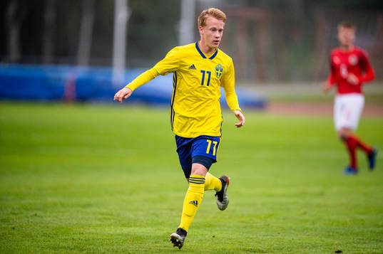 Sveriges David Edvardsson