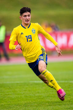 Sveriges Armin Gigovic