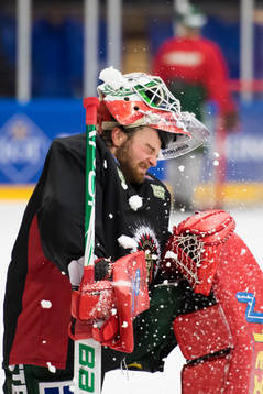 Målvakten Niklas Rubin