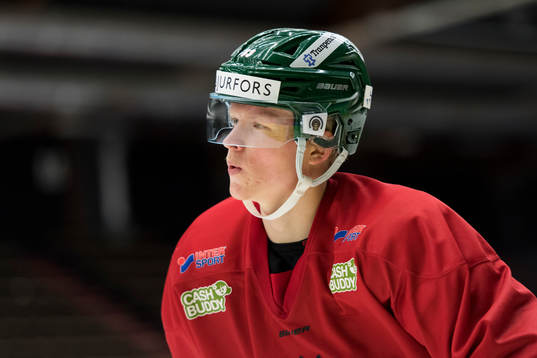 Julius Bergman