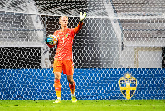 Goalkeeper Pontus Dahlberg of Sweden