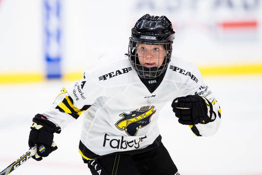 s Linnea Hedin